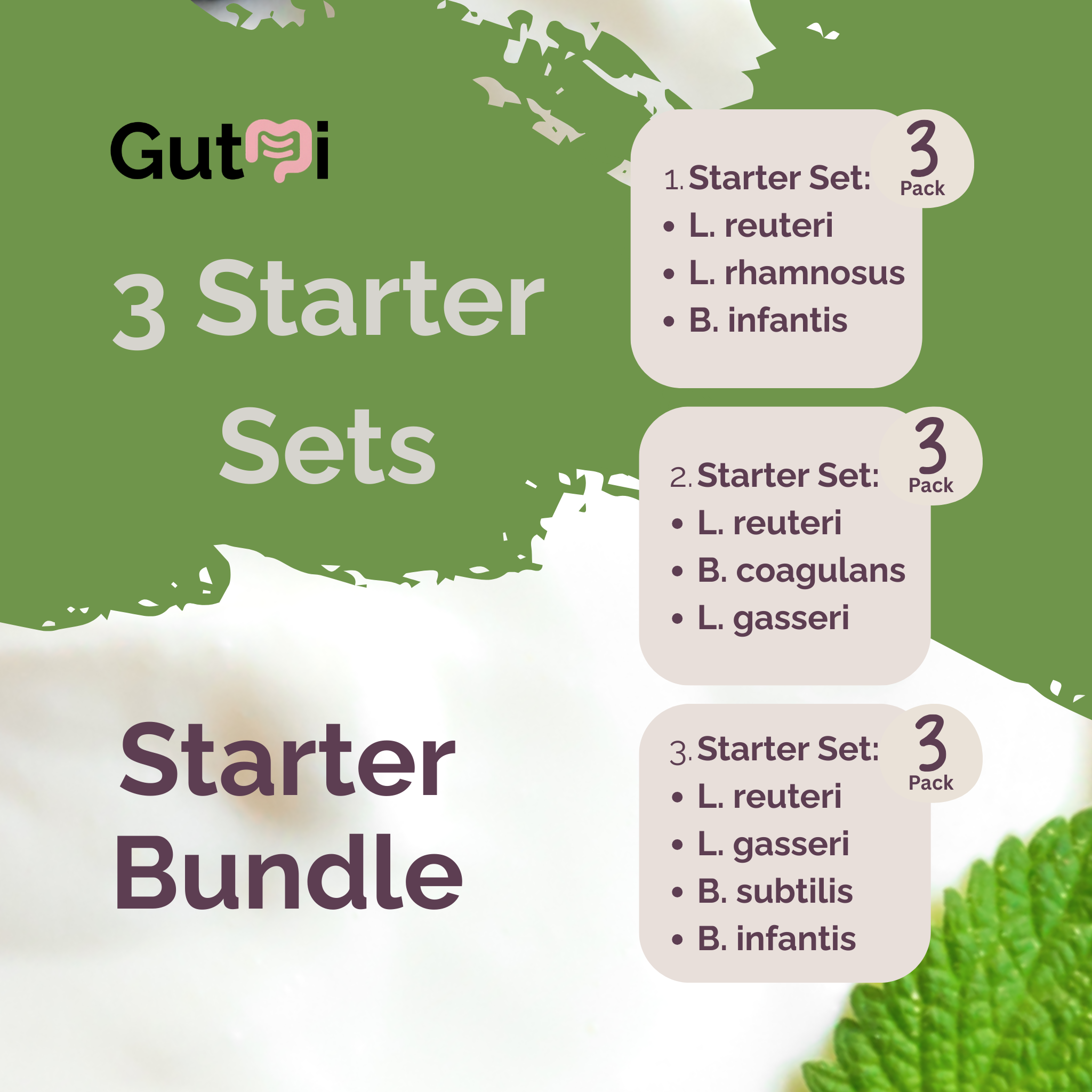 GutMi | L. reuteri + L. rhamnosus + B. infantis + B. coagulans + L. gasseri + B. subtilis | Starter Bundle | Yogurt Starter Bundle | Pack of 3 Sets